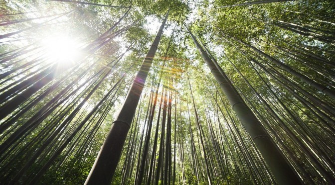 魂が疲れた時は　「地球と光のエネルギーワーク」
