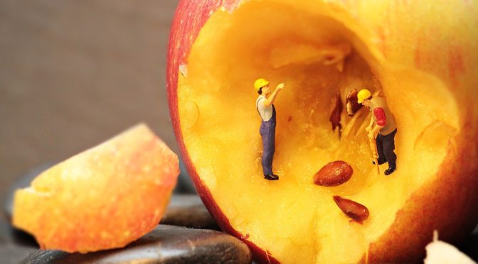 ライフパーパスを見つける上で、よくある６つの誤解