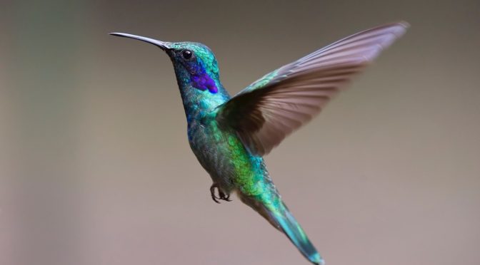 ３分で分かる！　タイムラインスプリット