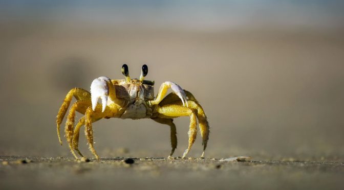 海外スピリチュアルラッパーのビーフ（論争）を見て考える