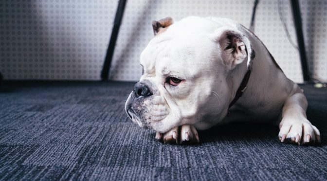 自分が欠点だと考えていて、でも本当は全然違う１０の特徴