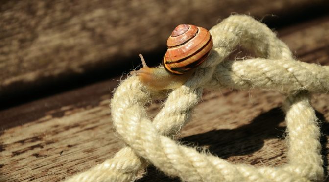 本来の自分になるために　その２．ネガティブな思い込みを取る