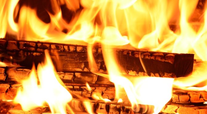 燃え上がる！　フェニックス好きのための１１の名言集