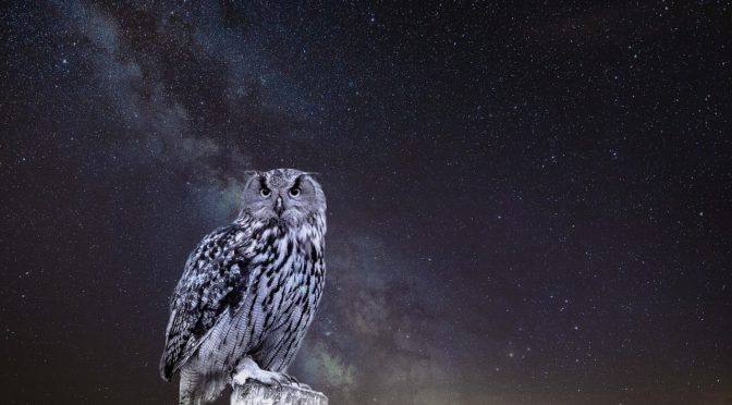 次元ジャンプの方法　永遠のフクロウ The Owls of Eternity