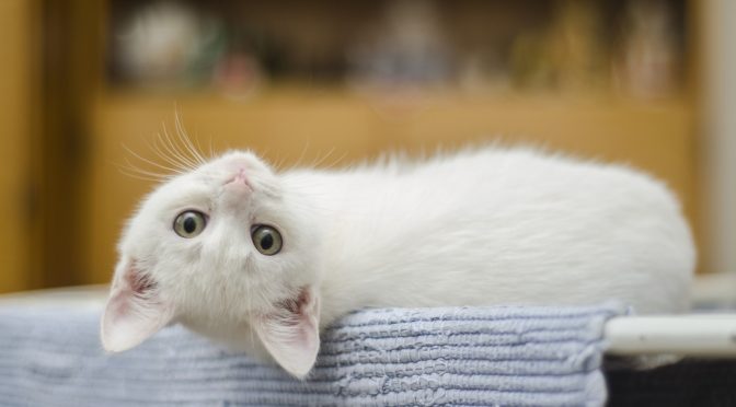 自分を愛するようになると起きる１０のこと